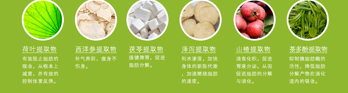 荷叶提取物：有效阻止脂肪的吸收，从根本上减重，并有效的控制体重反弹。西洋参提取物：补气养阴，瘦身不伤身。茯苓提取物：强健脾胃，促进脂肪分解。泽泻提取物：利水渗湿，加快身体的新陈代谢，加速燃烧脂肪的速度。山楂提取物：消食化积，促进胃液分泌，从而促进脂肪的分解与消化。茶多酚提取物：抑制胰脂肪酶的活性，降低脂肪分解产物在消化道内的吸收。